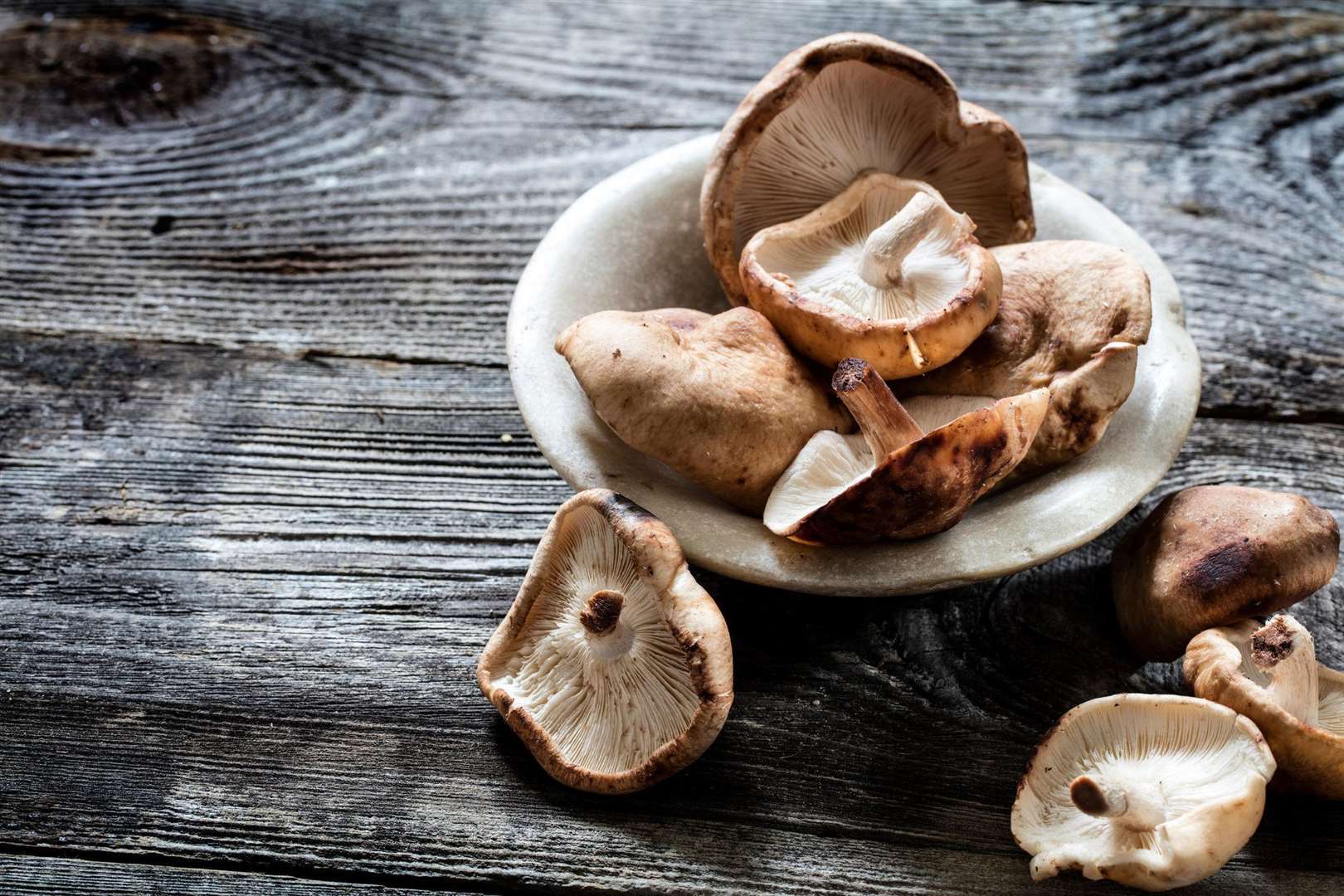 Vitamin D is a big beauty nutrient, and shiitake mushrooms are packed with it