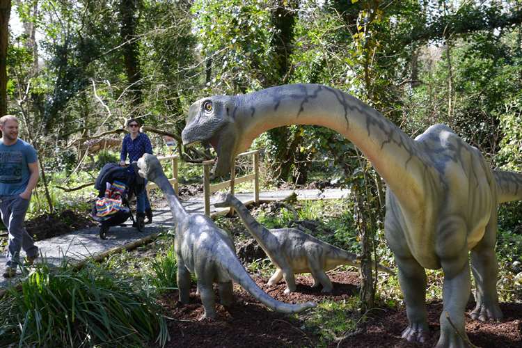 Download Dinosaur Forest At Port Lympne Reserve
