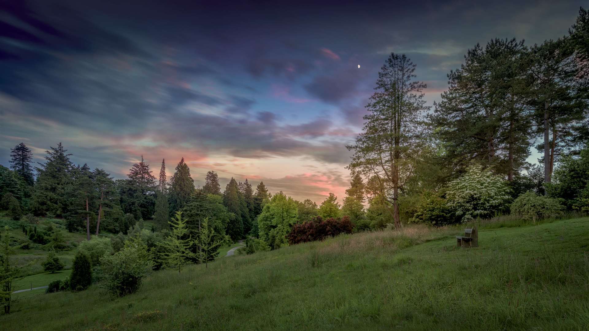 Bedgebury Pinetum has more than 12,000 trees for you to walk beneath. Picture: David Jenner