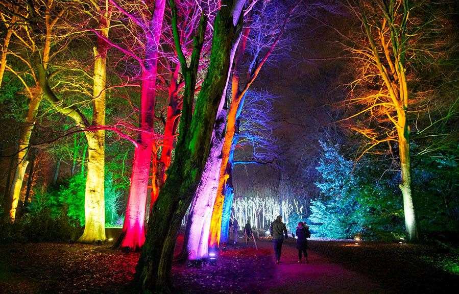 Christmas at Bedgebury will be back for a third year