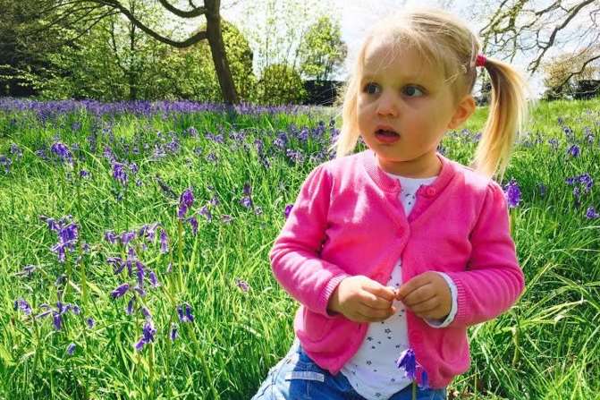 Carpets of bluebells decorate Doddington in the spring