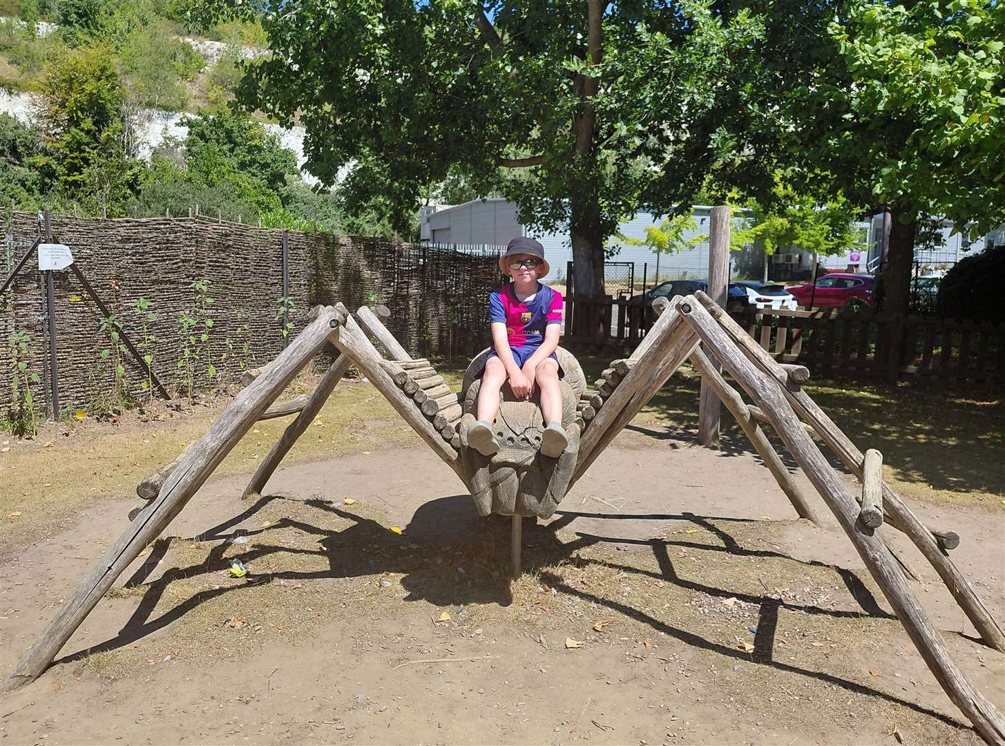 The big wooden spider in the play area