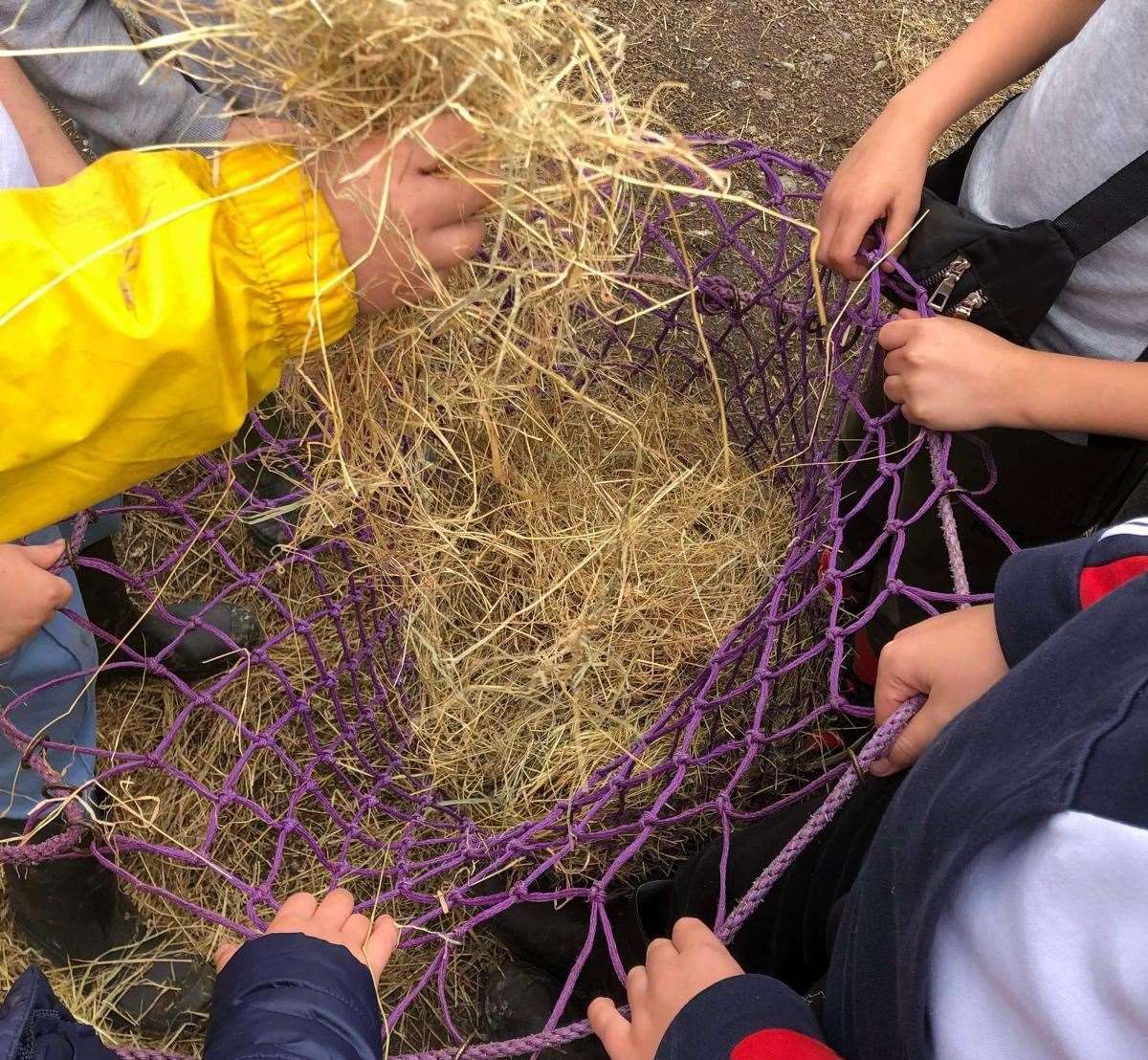 The 10-acre site already supports around 120 young people each week. Picture: Kyle Ratcliffe