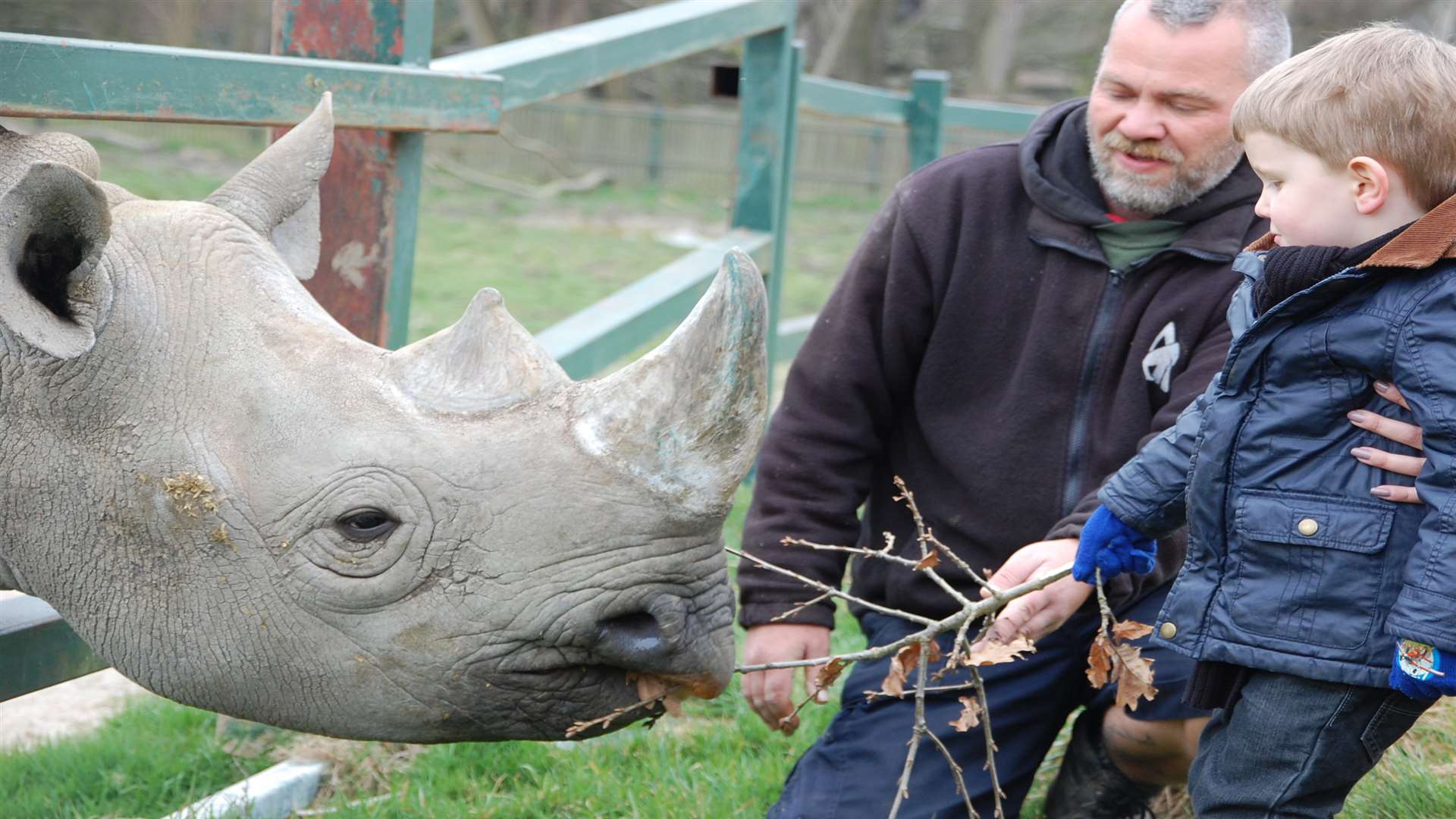 Get up close and personal at Port Lympne