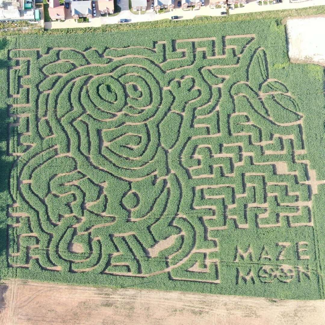 Can you spot the movie theme in Faversham's maze?