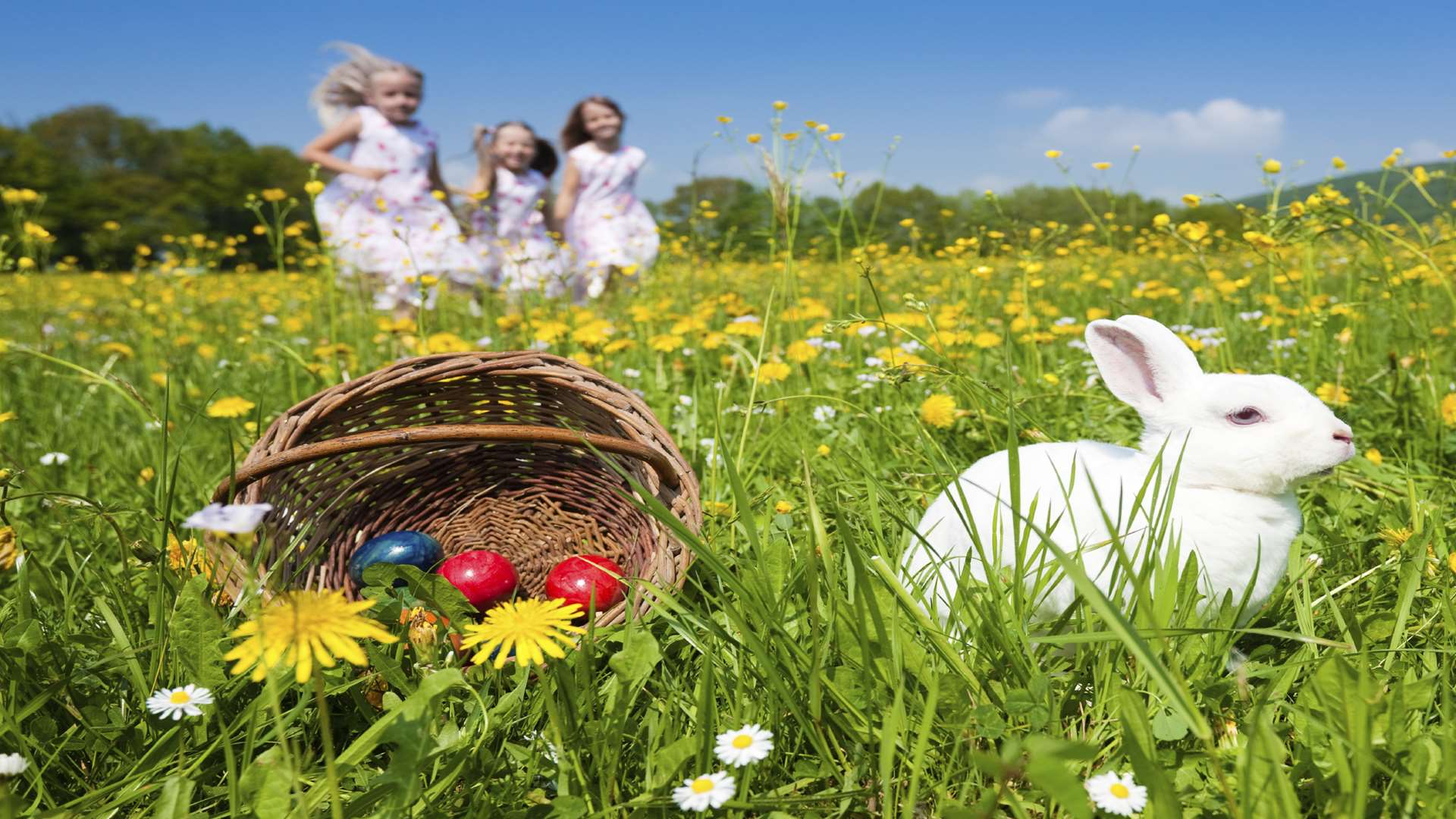 Catch up with the Easter bunny at one of the many events taking place all across Kent