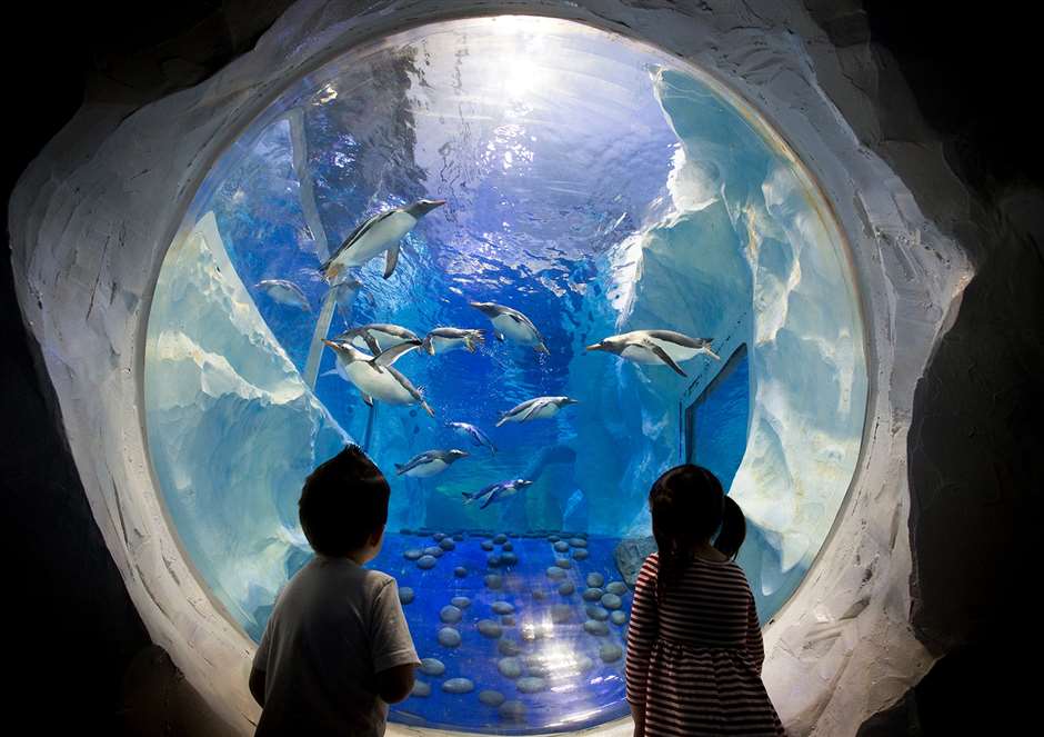sea life london