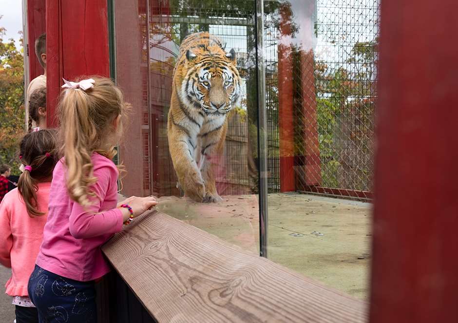 chessington world of adventures