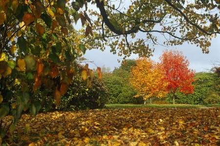 Emmetts Garden is at Ide Hill