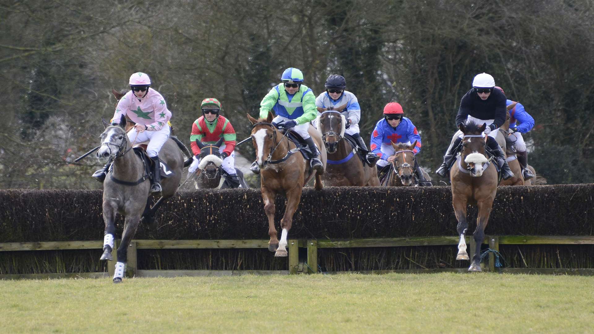 Point-to-point horse racing event will take place at Ashford Valley, Tickham