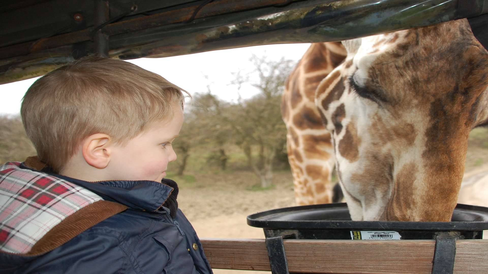 Neck to neck at Port Lympne