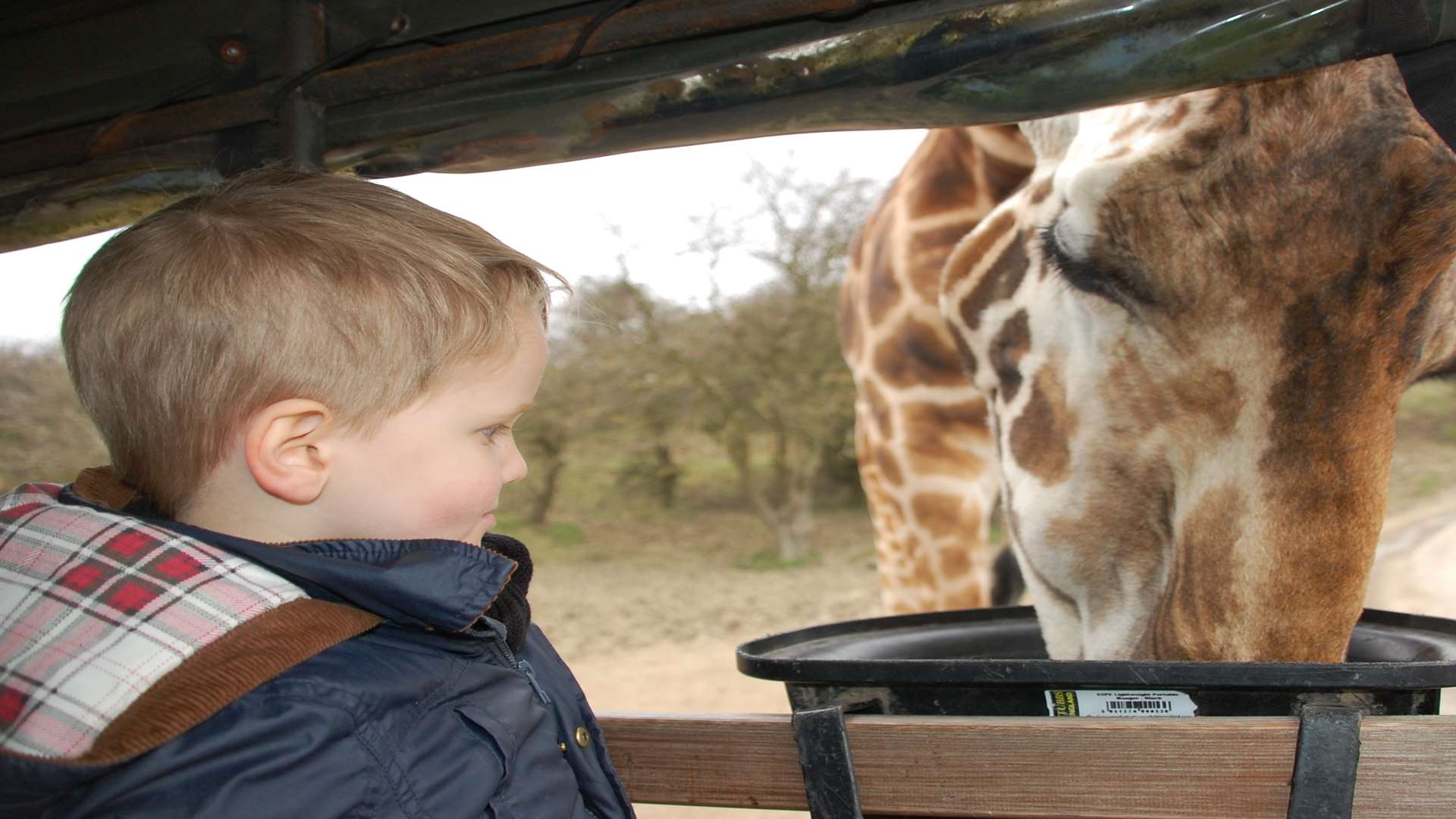 Neck to neck at Port Lympne