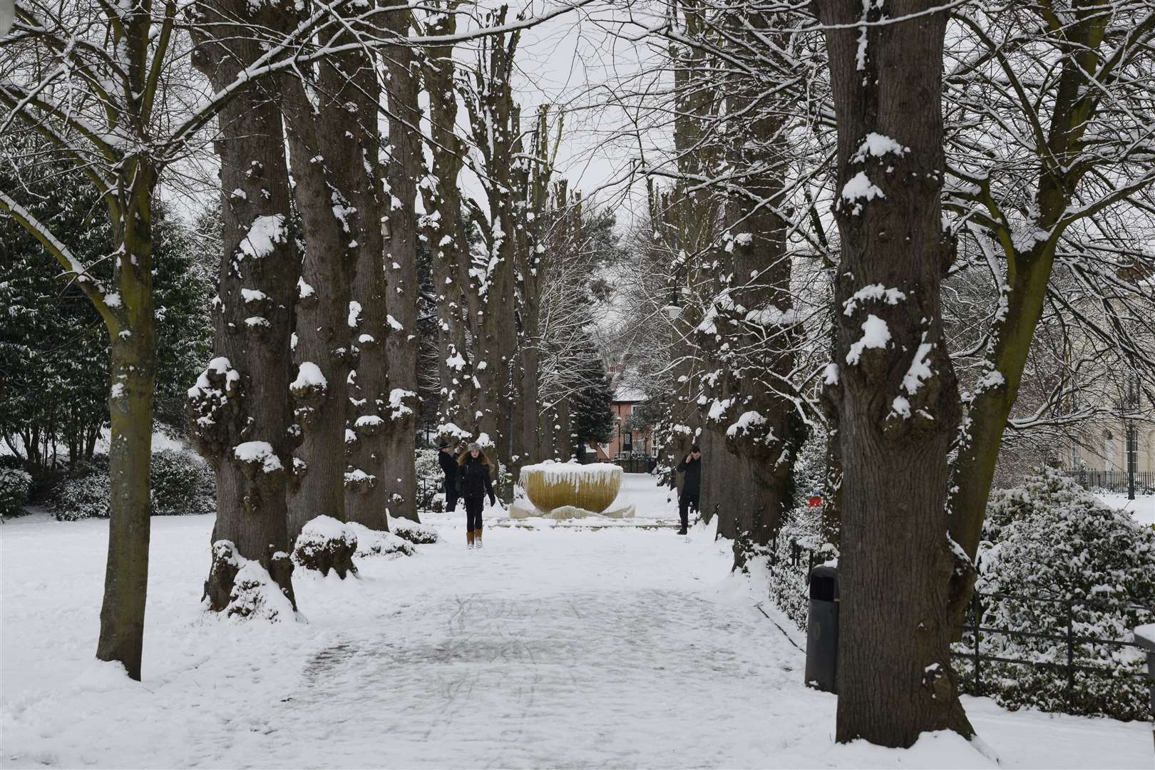 The ice rink will be built in Dane John Gardens