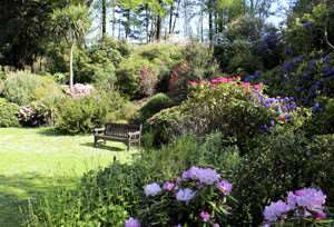 Mount Ephraim and its gardens reopen on April 1. (1216870)