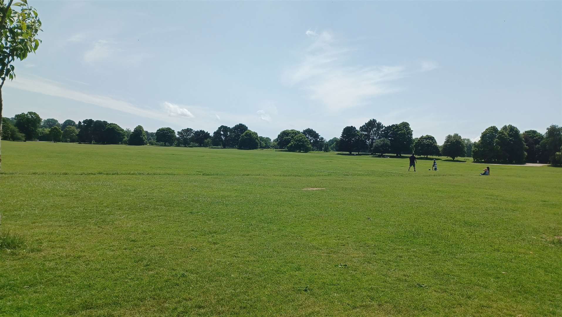 There is plenty of space for kids to burn off some energy