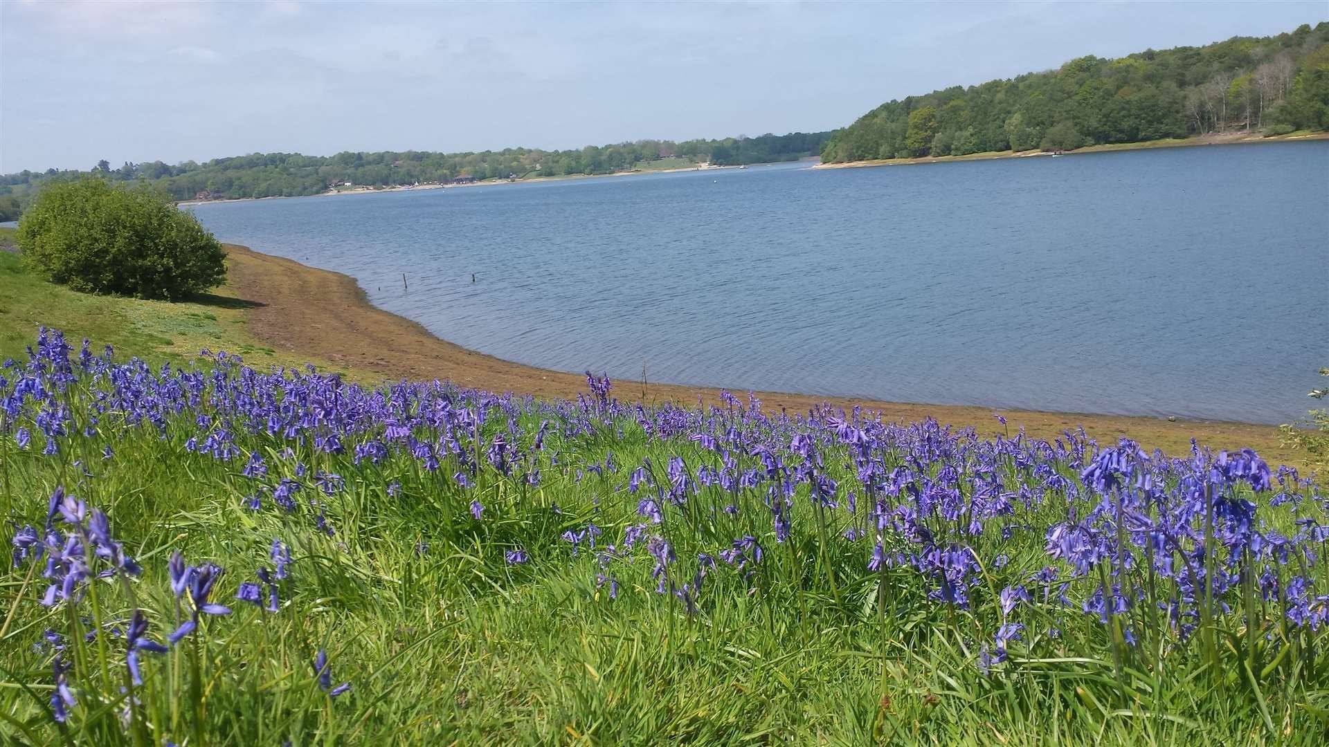 Look out over Bewl Water as you enjoy your al fresco lunch