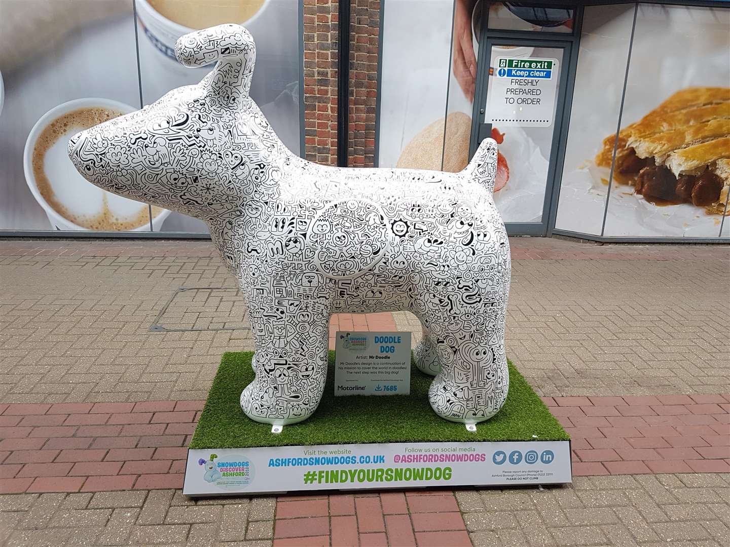 Internationally-renowned artist Mr Doodle decorated this dog live in public before it was put on display