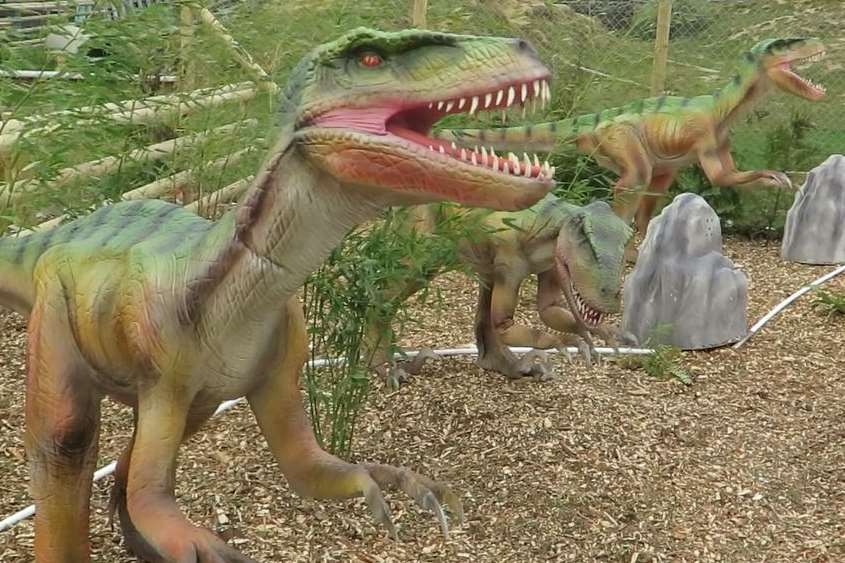 The scary raptors