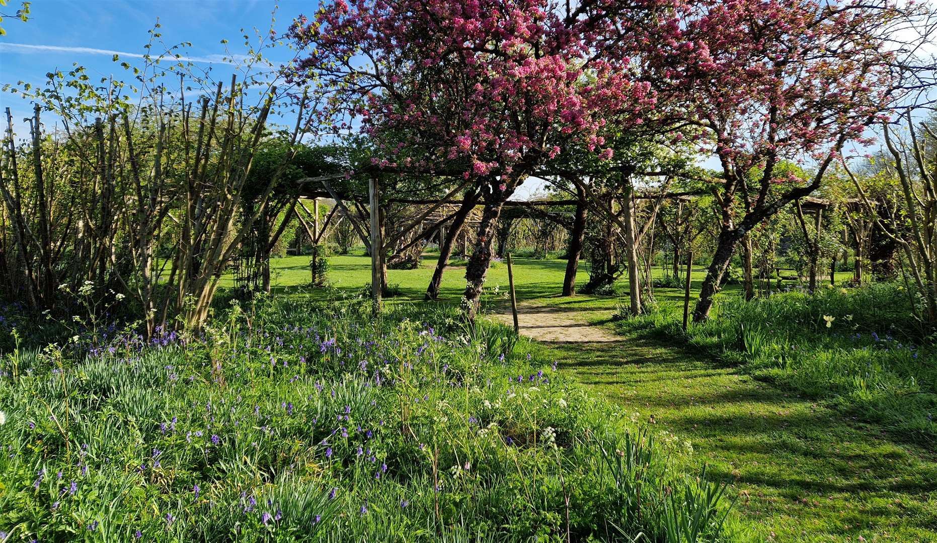 Explore the beautiful spring gardens at Penshurst Place. Picture: Penshurst Place