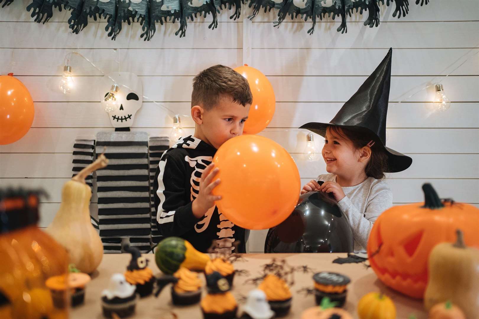 Halloween events are taking place at Dobbies in Gillingham and Ashford