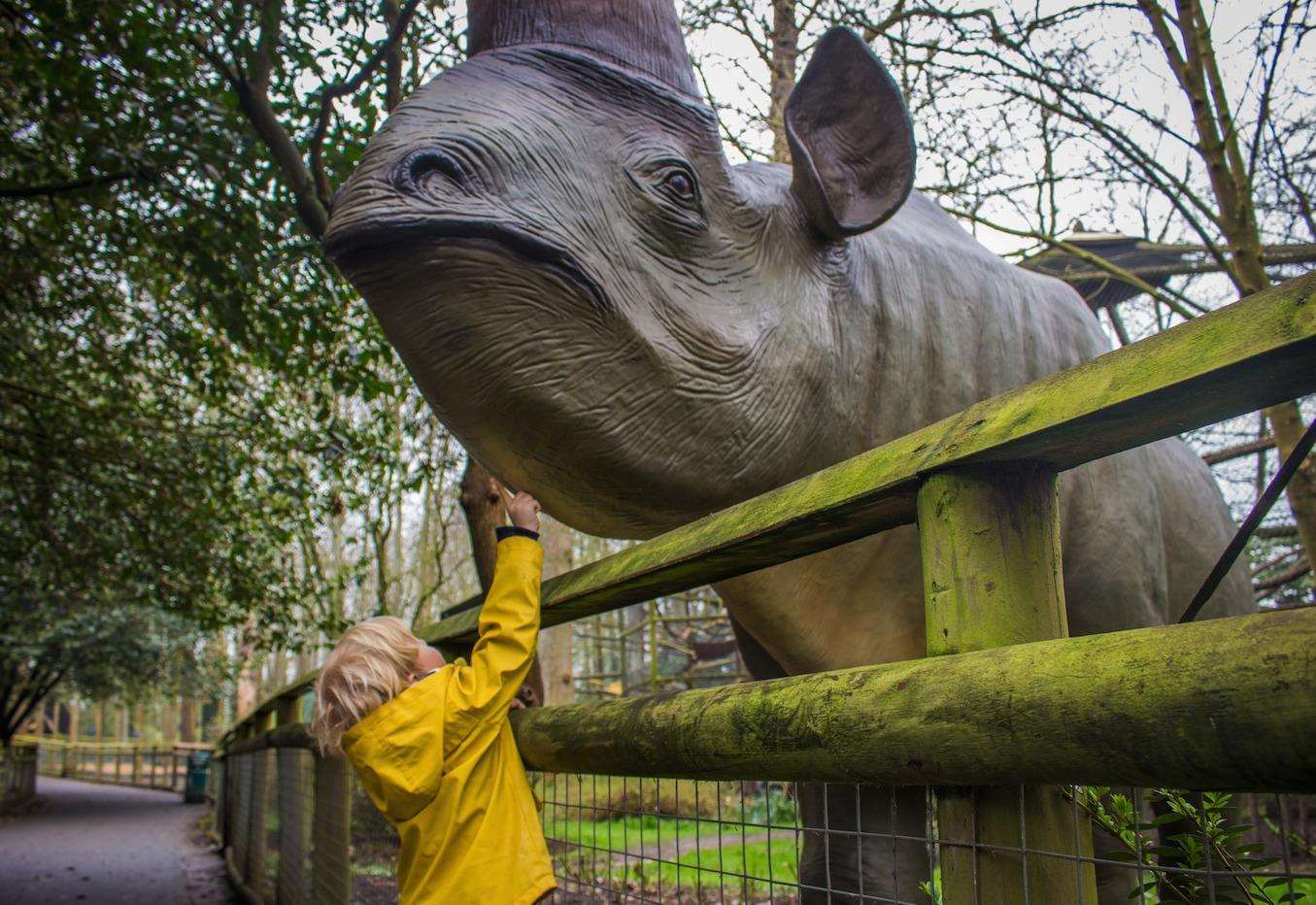 Find the animals of the Ice Age at Howletts