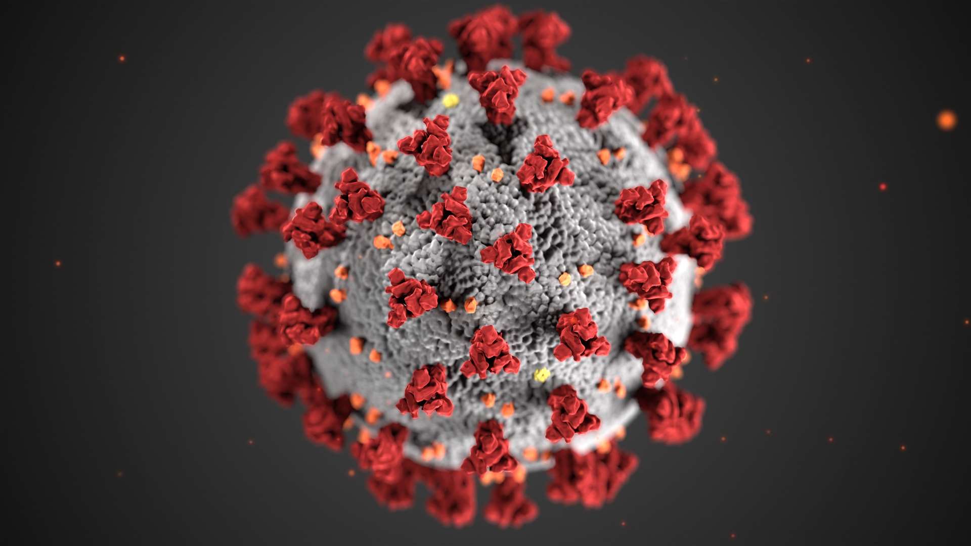Scientists say coronavirus can live long enough on surfaces for others to pick it up