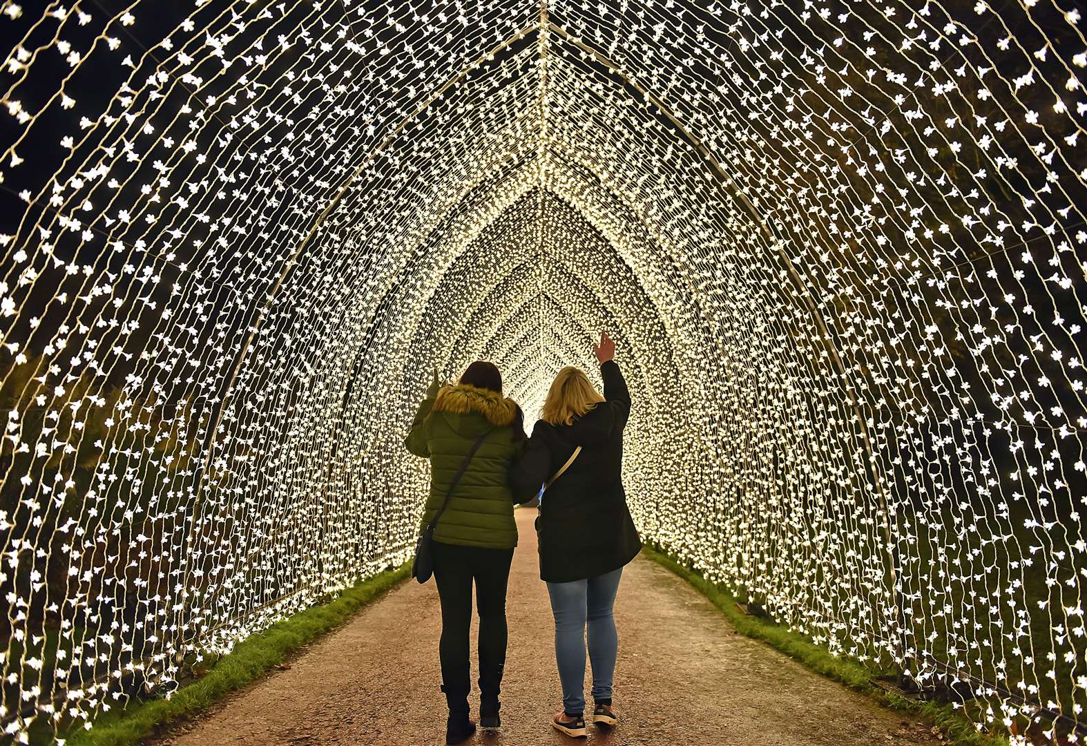 Christmas at Bedgebury tickets now on sale for the 2021 lights trail