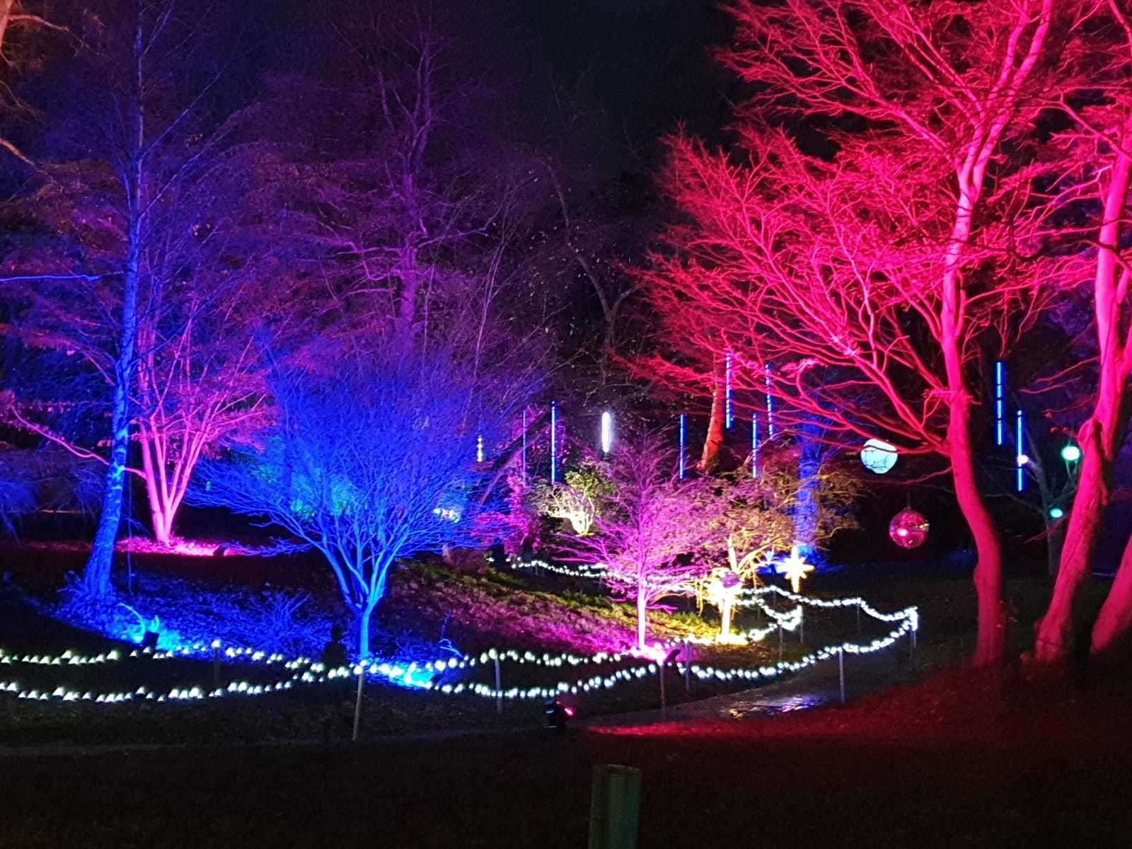 Festive scenes after dark