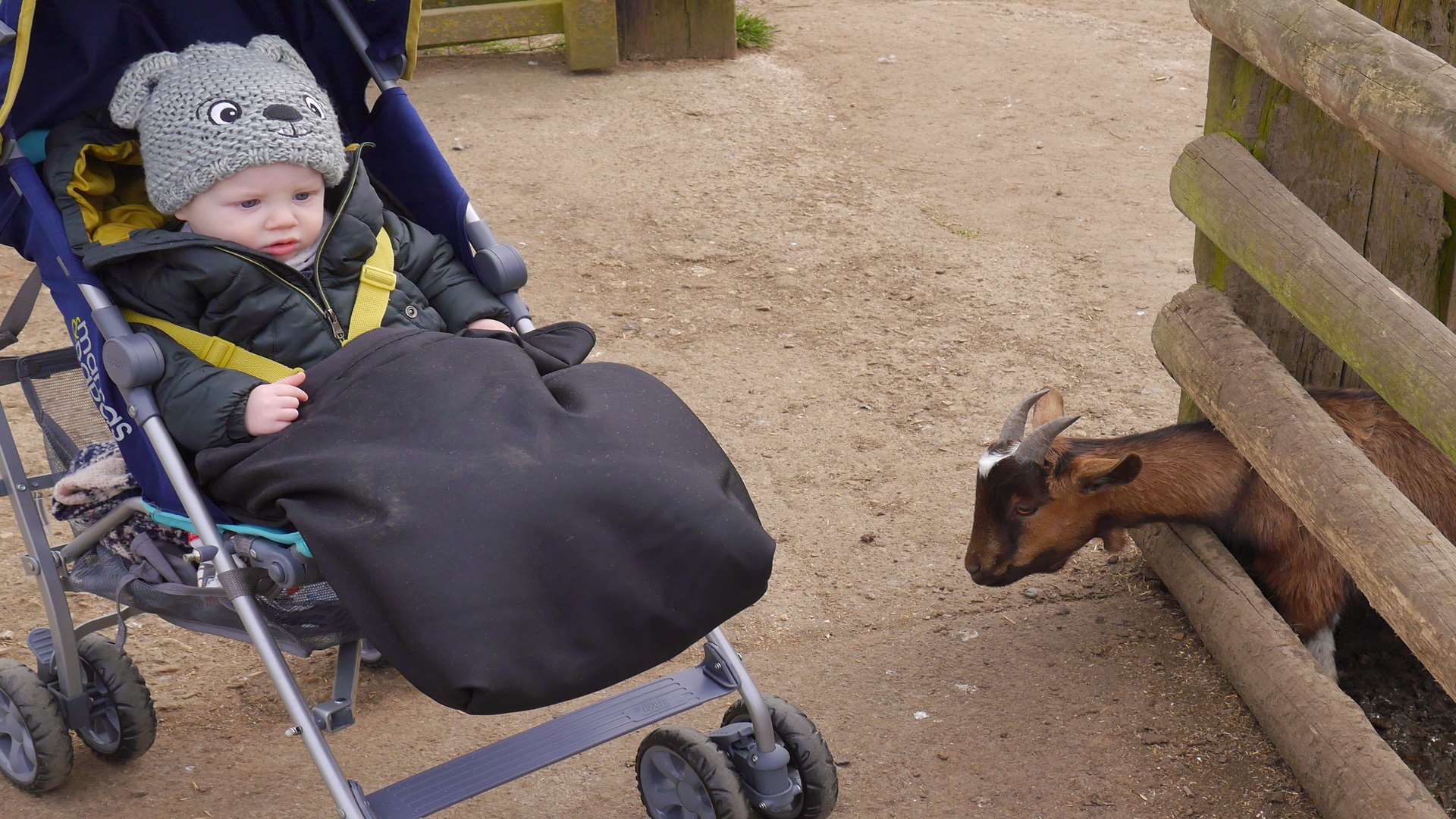 Charlie O'Brien My Kent Family blog At Christmas Tree Farm, Downe