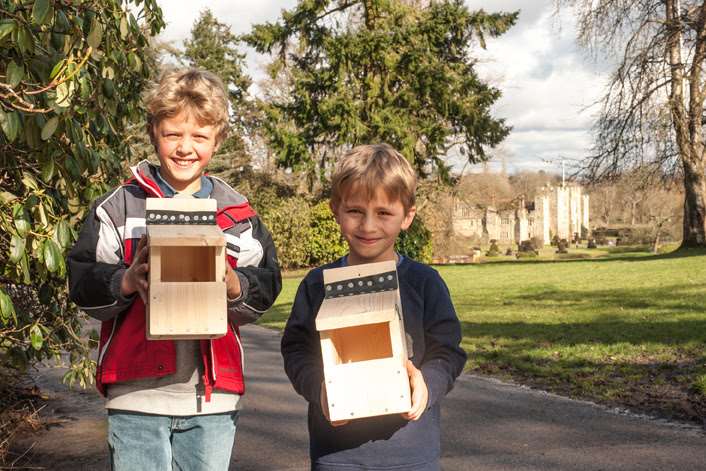Build a bird box at Hever Castle this half term