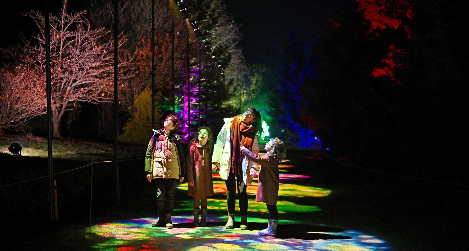 The Christmas at Bedgebury light trail is set to return for 2025. Picture: Supplied by the Grove Media