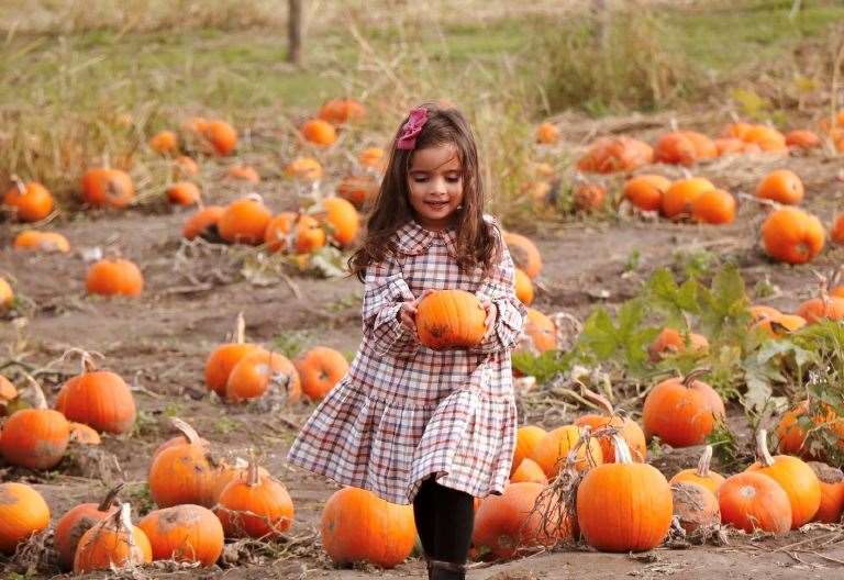 Kent’s best pumpkin patches to visit in 2023