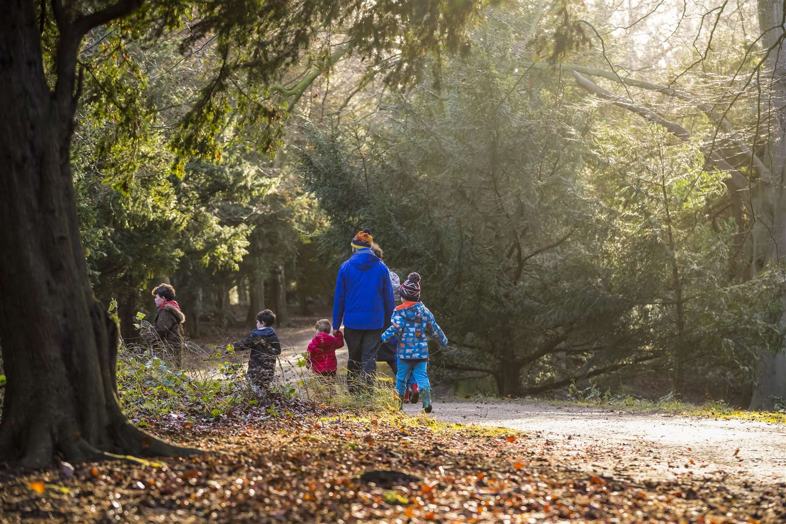 Take a wintery walk with the Peter Rabbit trail