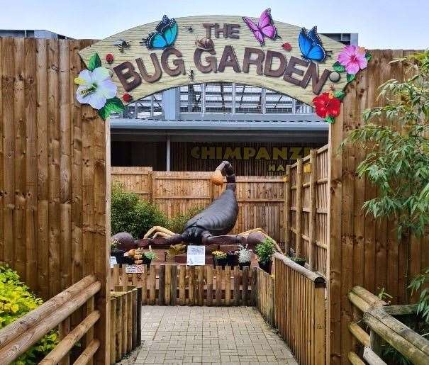 The Bug Garden at Wingham