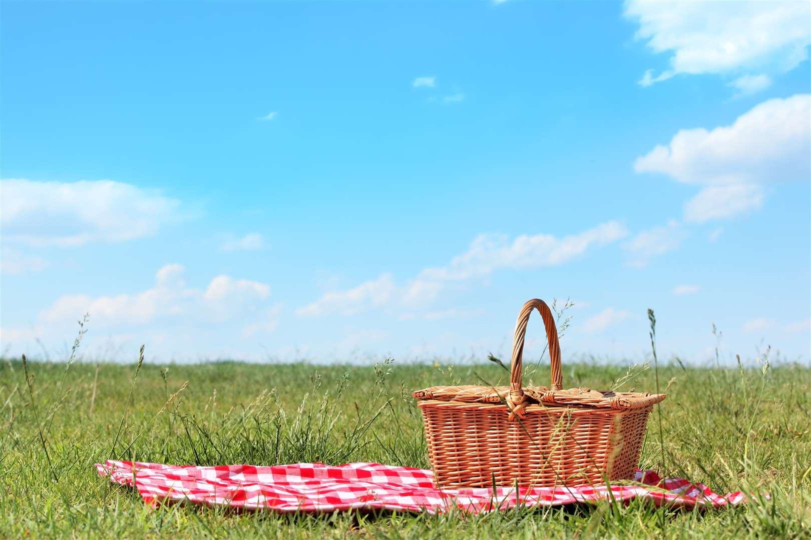 With a hot week of weather ahead it's an ideal time to picnic with the kids
