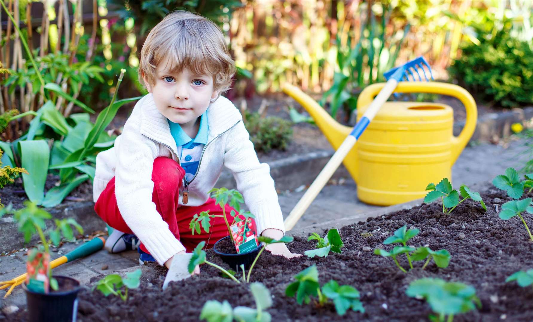 Let the kids have their own space in your vegetable bed, garden or allotment