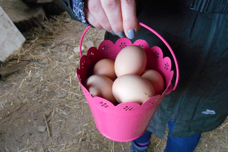 There's no shortage of eggs to be found hiding around the farm - we found this many in less than five minutes!