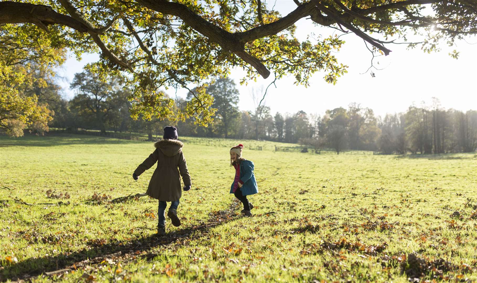 Scotney Castle’s woodland area will be transformed into outdoor trails. Picture: National Trust Images / John Miller