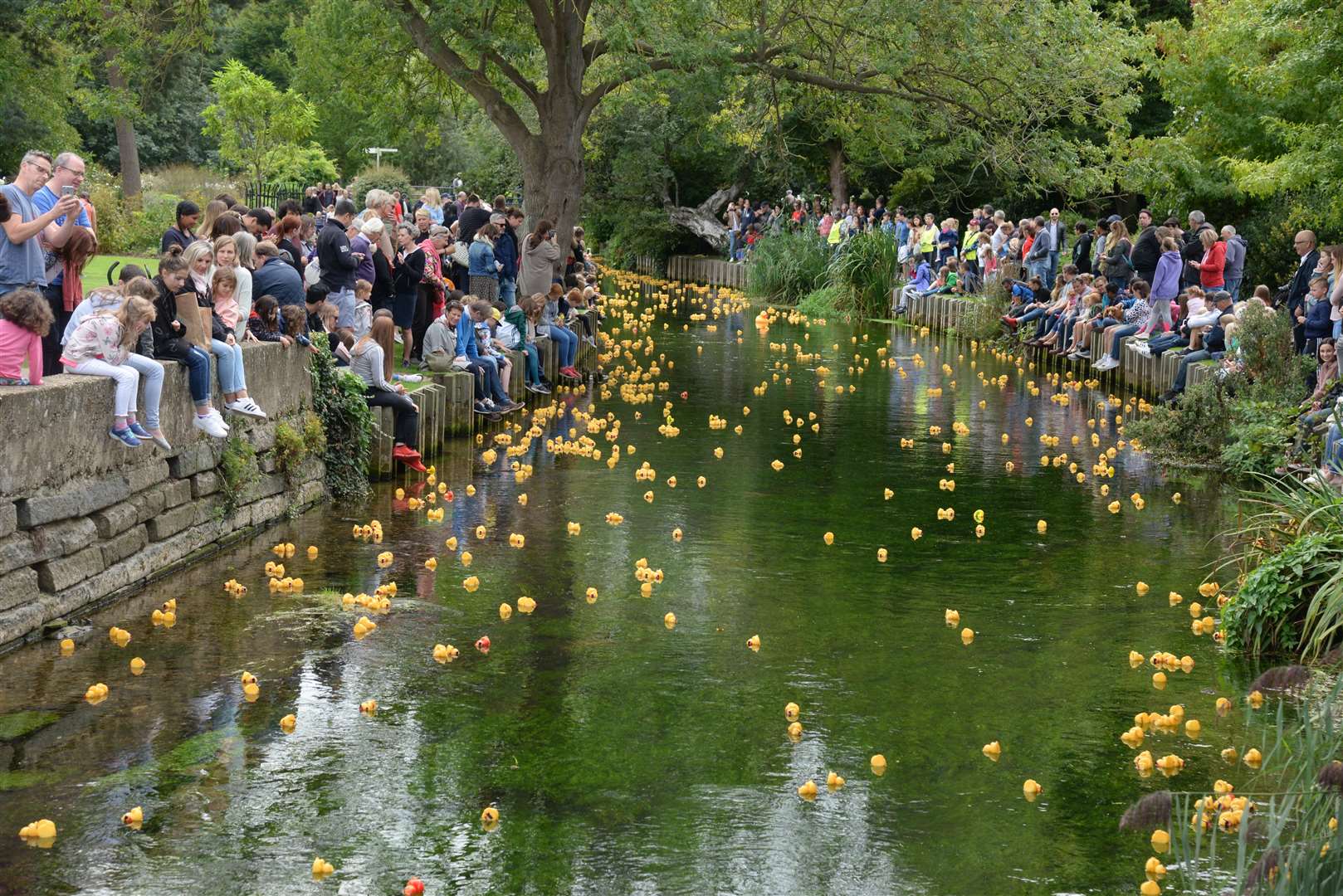 The duck race is popular with hundreds of families who line the river