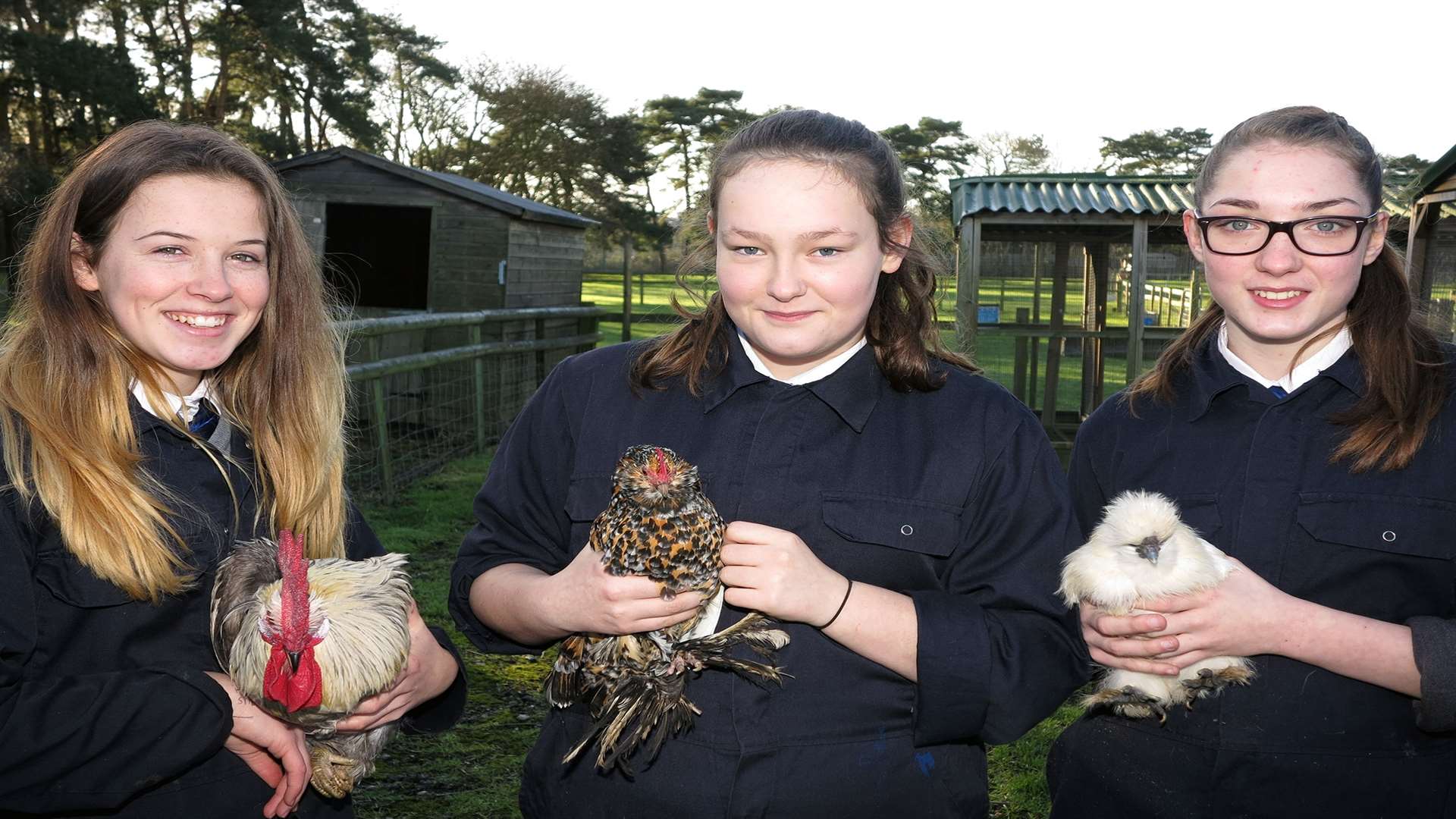 Holly Fuller, Kayleigh Lancaster, Josie Rollings with bantams at the New Line Learning Acacdemy