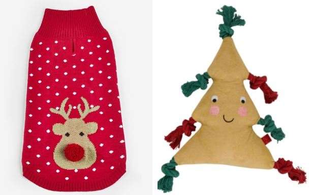 Don't miss the dog out when it come to the unwrapping. Rudolph dog jumper £12, Next. Plus, TuffEarth recycled playtree £9.99, Dobbies.
