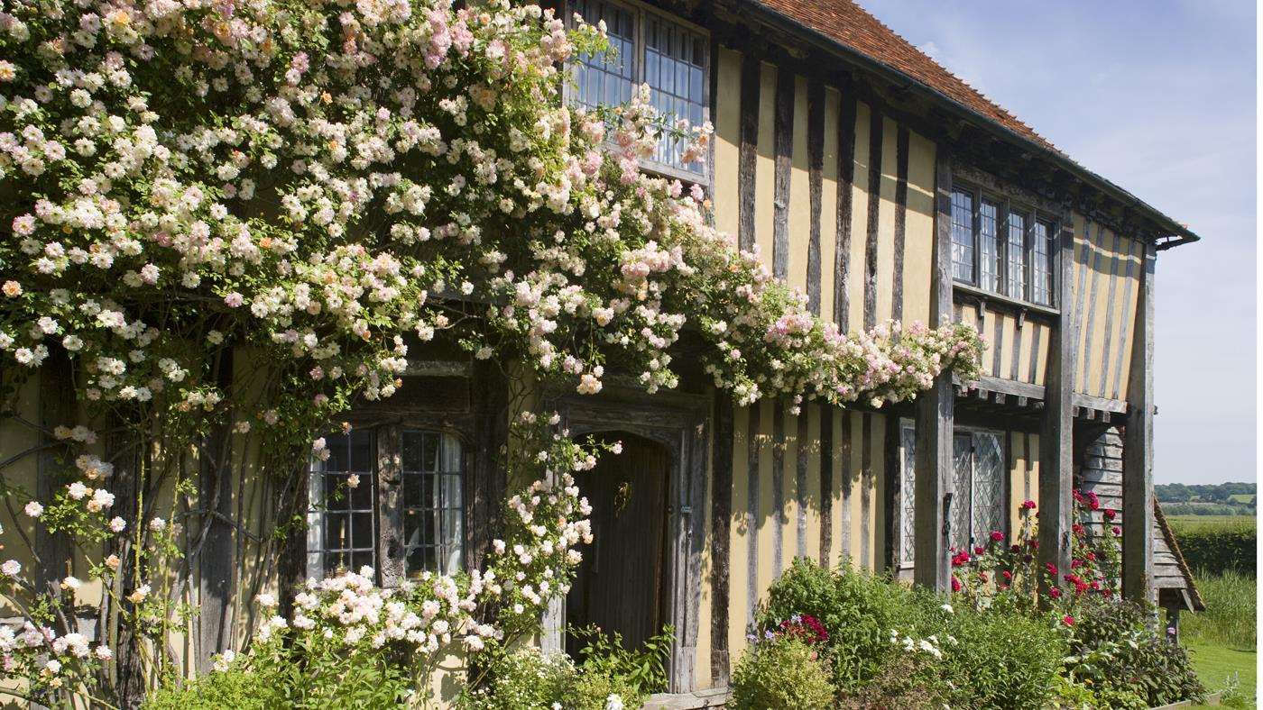 Roses climbing over the early sixteenth-century half-timbered house, at Smallhythe Place