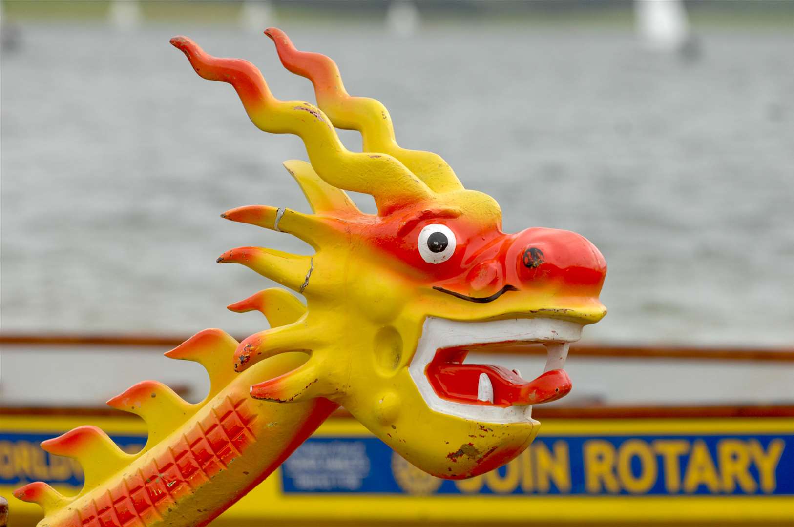 Dragon Boat Racing at Bewl Water