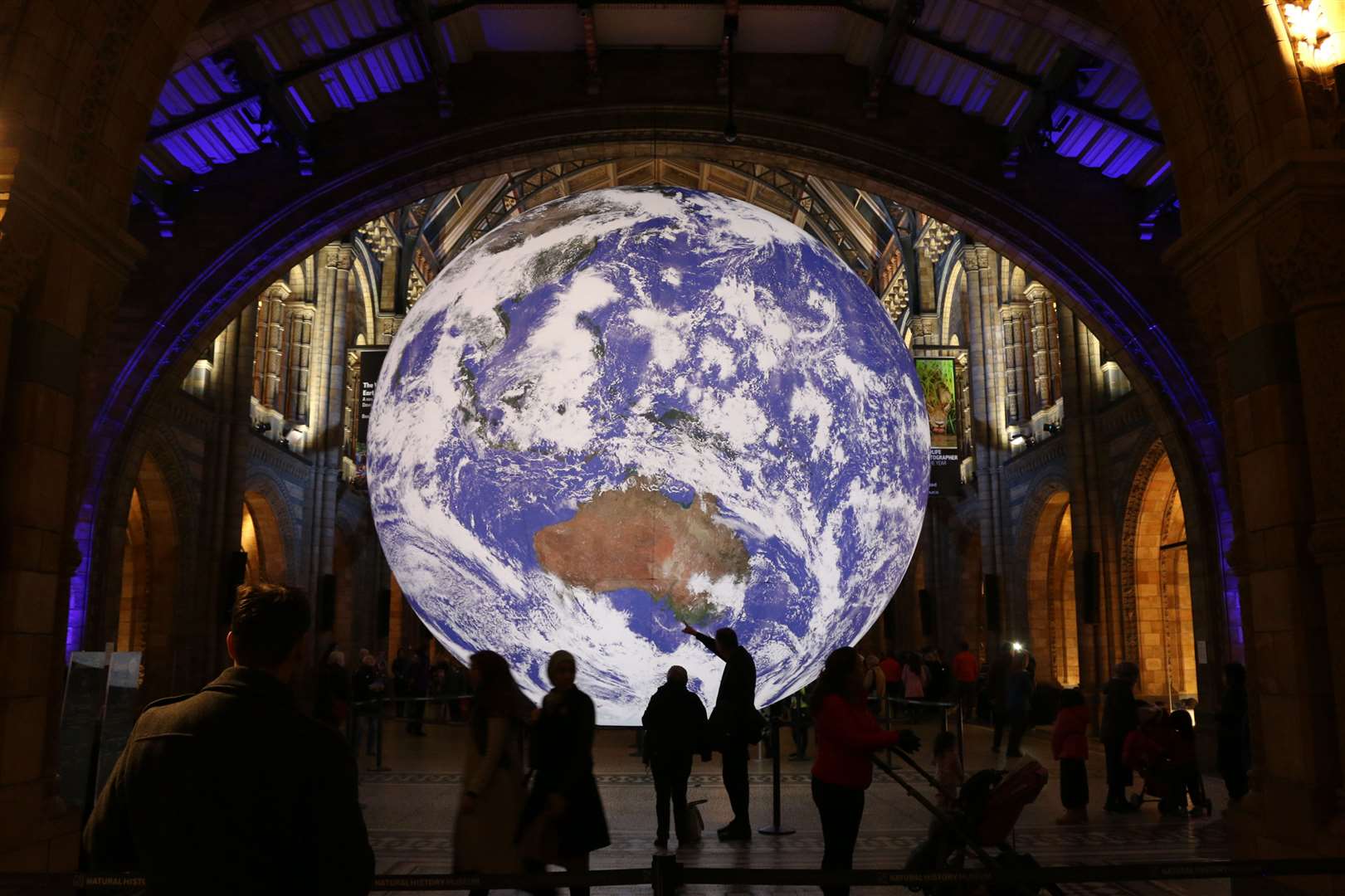 The art exhibition, Gaia, pictured here inside the Natural History Museum, is coming to Rochester Cathedral in 2022 Photo: Rochester Cathedral