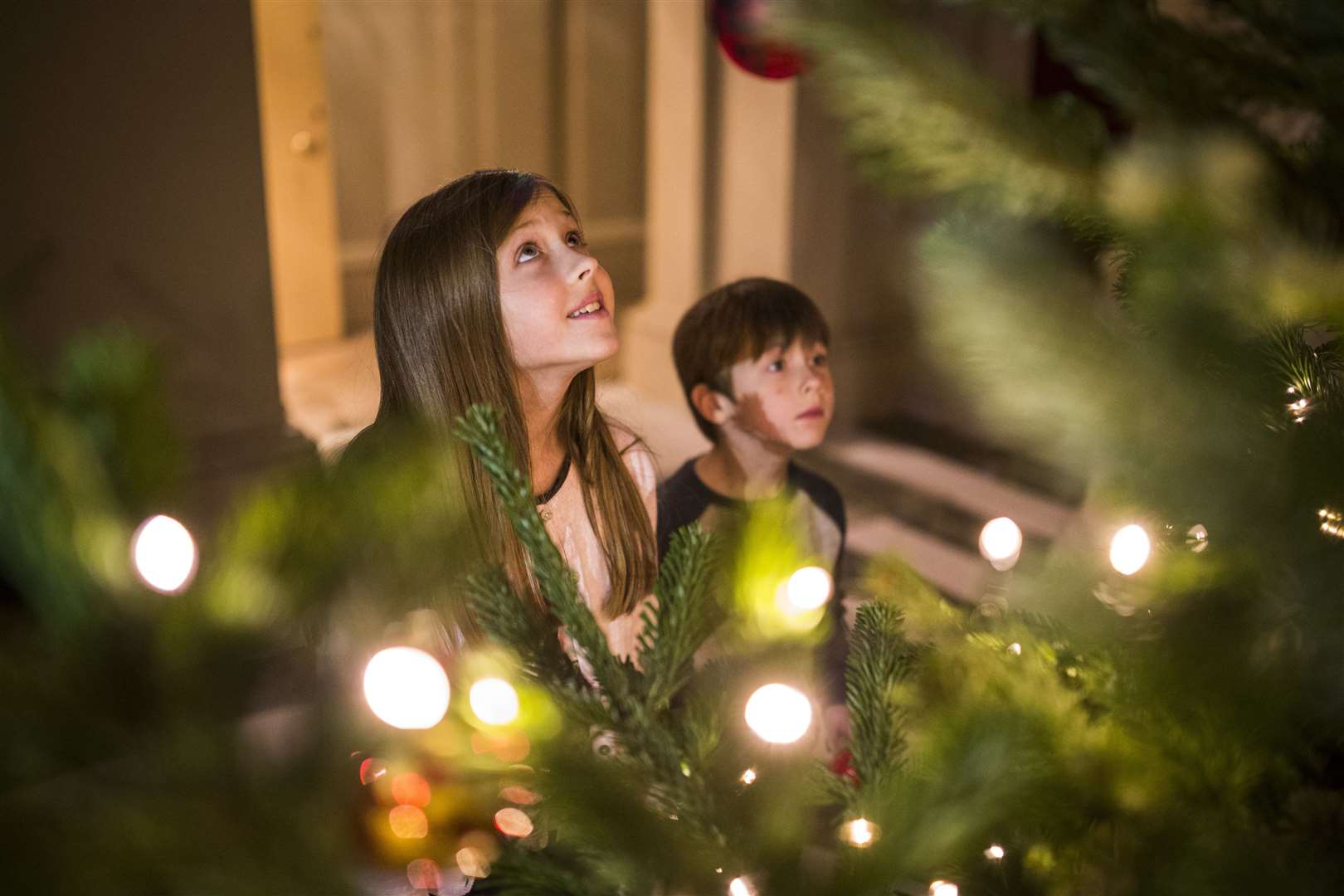 Elves are prone to hanging some unusual items on Christmas trees for children to find. Image: iStock.