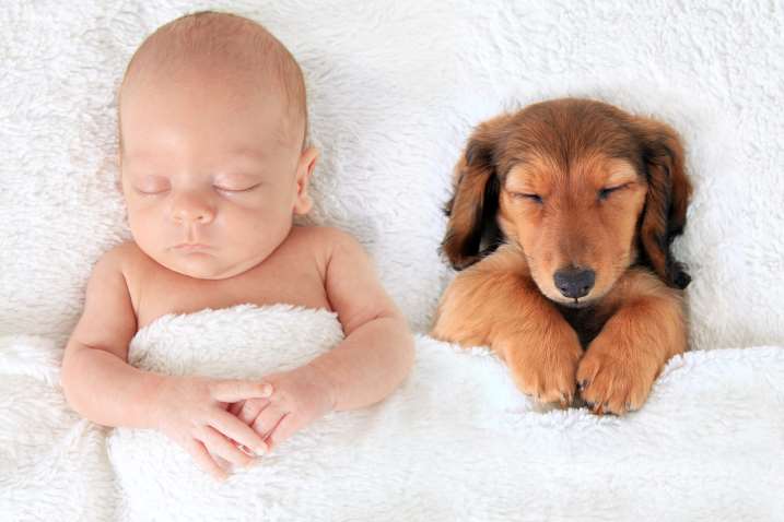 Babies can leave you feeling dog tired