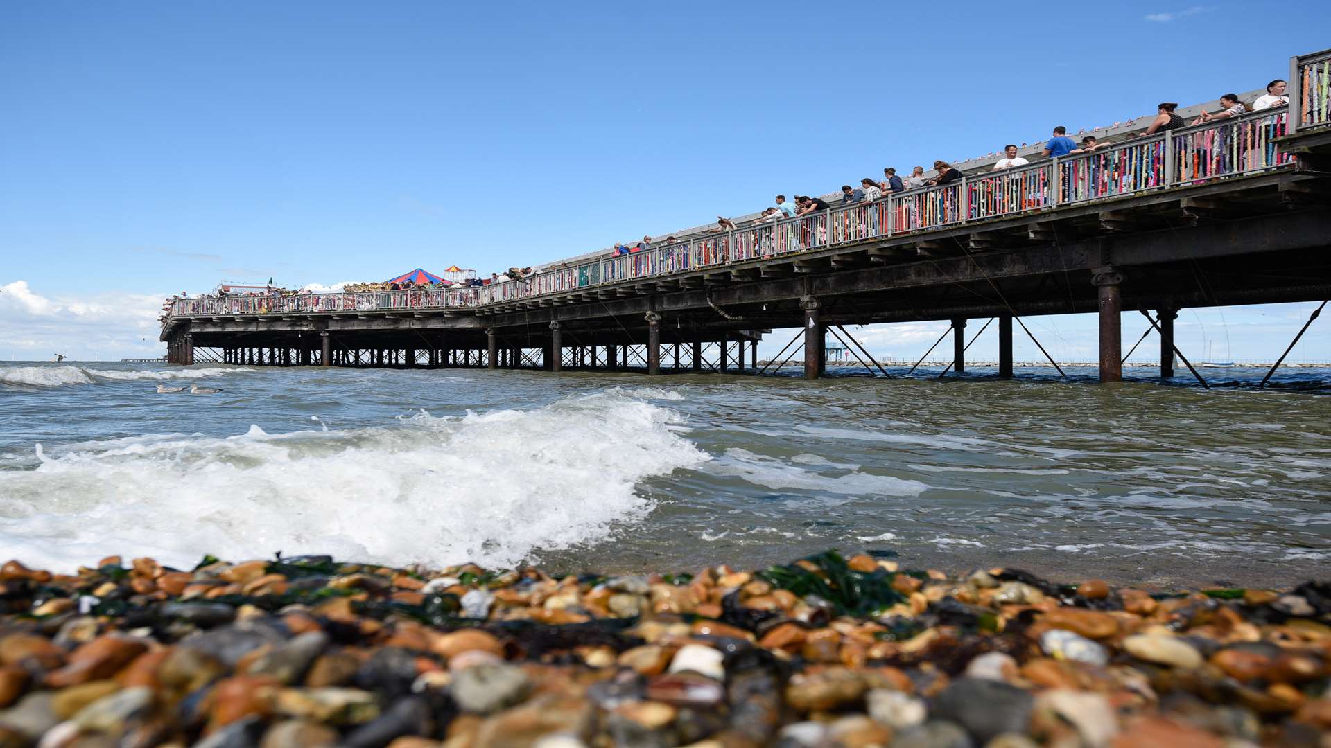 Monster crab catching on Herne Bay's famous pier