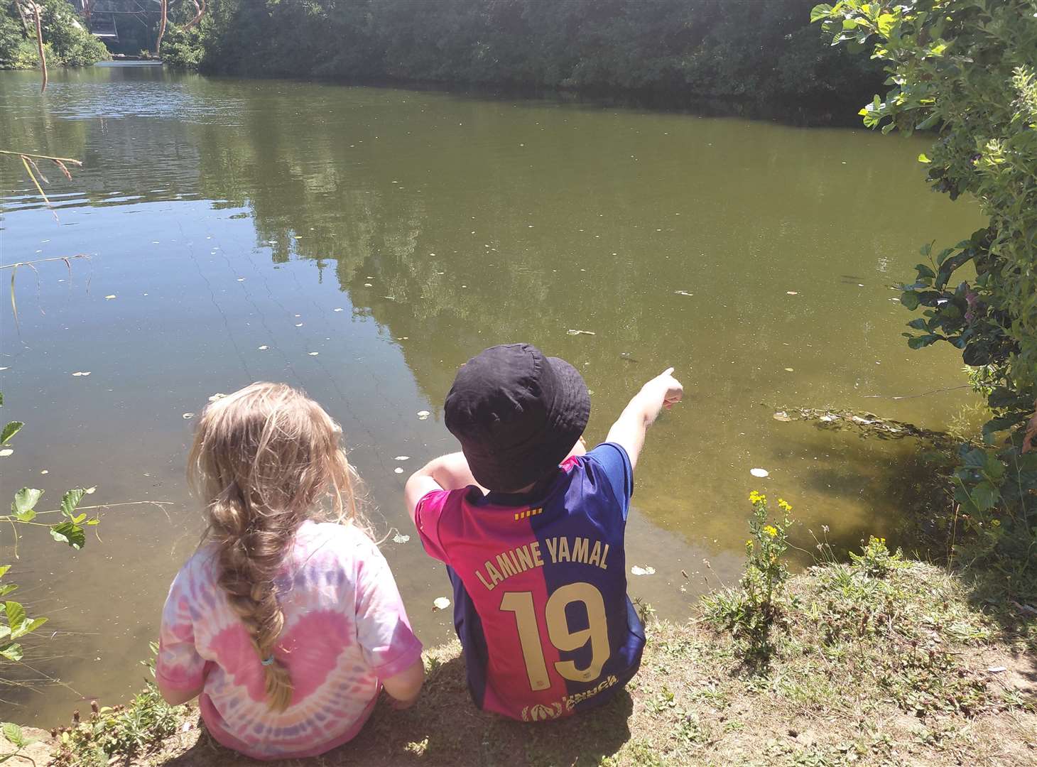 Looking for fish
