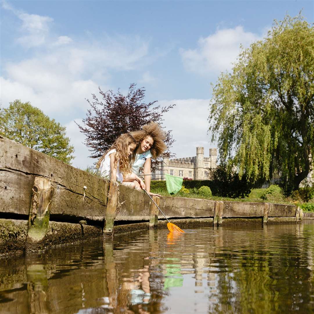 Leeds Castle will be celebrating National Garden Wildlife Week this May half term