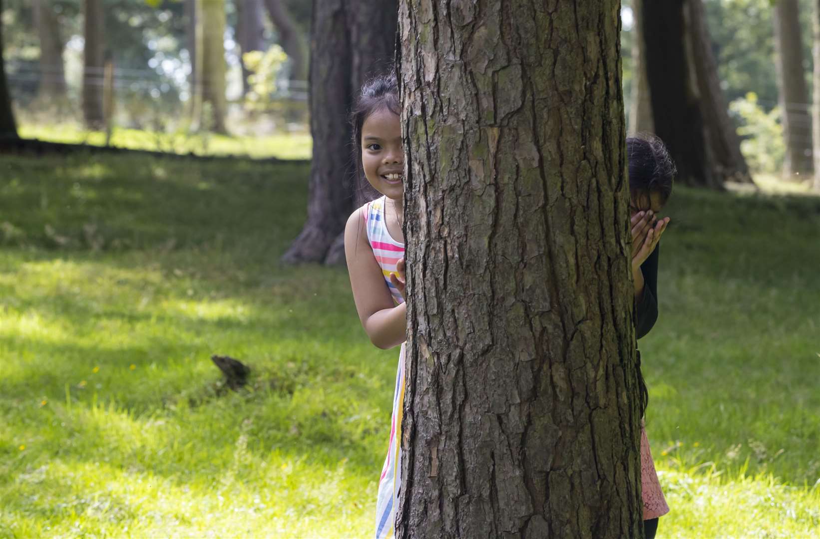Will the weather mean the kids can get outside and play this half term? Pic credit: The National Trust.